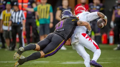 red lions vikings