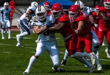 paris light firenze red lions foglio afle 2026
